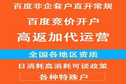 包年竞价技巧分享：案例解读高回报策略